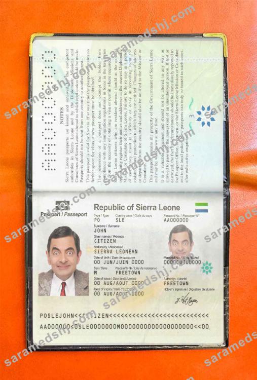 Sierra Leone passport photo look